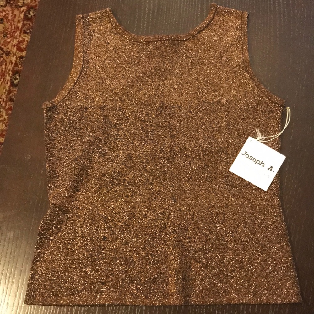 Paris London NY SPARKLY BROWN METALLIC TANK NWT XL